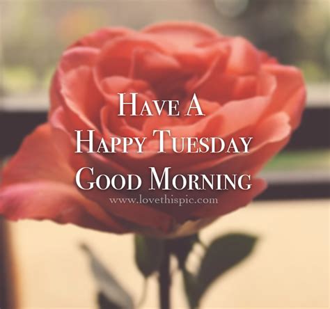 Love happy tuesday morning quotes. Rose Happy Tuesday, Good Morning Pictures, Photos, and ...