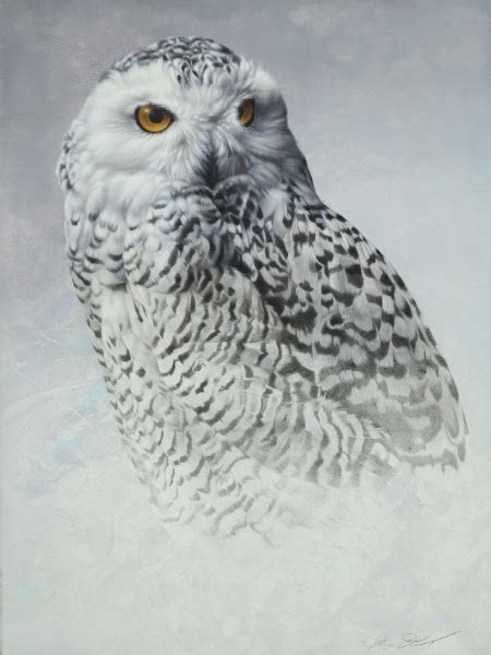 Snowy Owl Drawing Reference Used With Rspec And Capybara Allyw