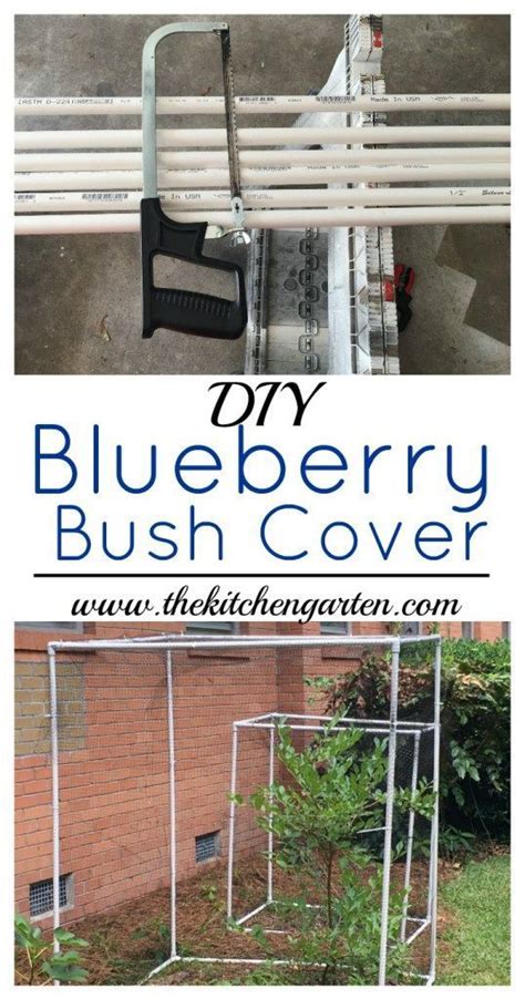Long change to red, orange, or yellow combinations in autumn. Create these Easy DIY Blueberry Bush Covers in an ...