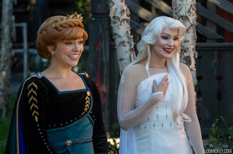 Traditional Queue Utilized For Anna And Elsa Sighting At Epcot