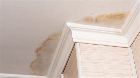 6 Signs Of Water Damage Caused By A Leaky Roof