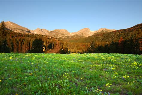 Green Grass Field During Daytime Rocky Mountain National Park Hd