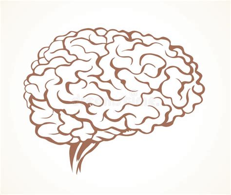 Cérebro Desenho Do Vetor Ilustração Do Vetor Ilustração De Anatomia