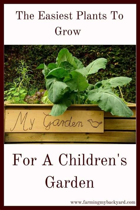 The Easiest Plants To Grow For A Childrens Garden Easiest Plants To