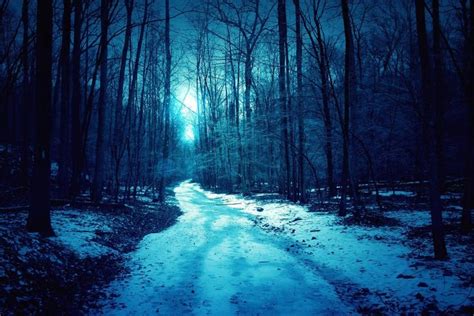 Winter Night wallpaper ·① Download free amazing HD backgrounds for ...