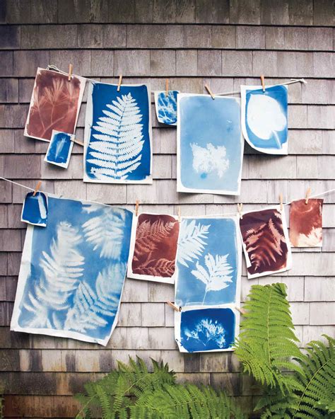 How to Make Sunprints | Martha Stewart