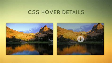 Css Image Zoom Hover Creative Vip