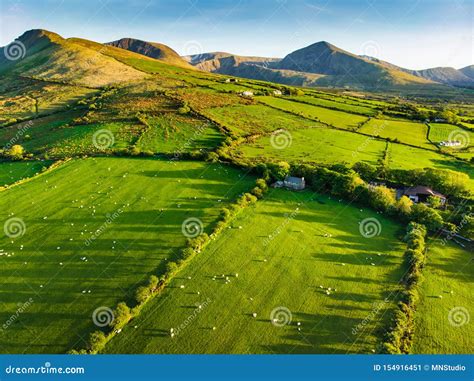 Aerial View Of Endless Lush Pastures And Farmlands Of Ireland