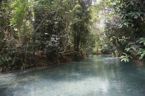 Hidden Beauty Our River Adventure In Jamaica Heres What I Think