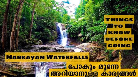 Mankayam Waterfalls Reopened Braemore Trivandrum Things To Know