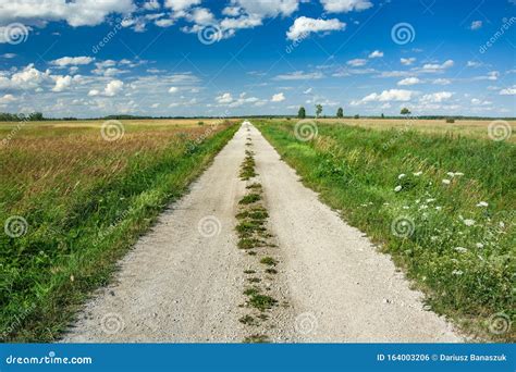 Gravel Road Through A Meadows And White Clouds On A Blue Sky View On A
