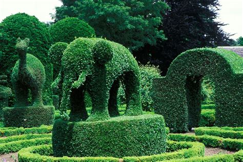 The Best Public Topiary Gardens Photos Architectural Digest