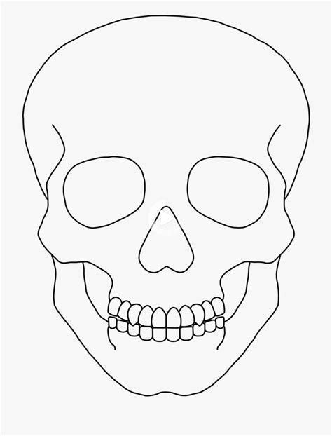 Redirecting In 2021 Human Skull Drawing Outline Drawings Skull Drawing