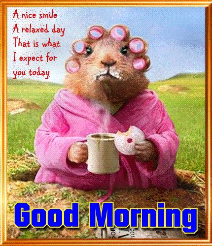 A Relaxed Good Morning Card Free Good Morning Ecards Greeting Cards