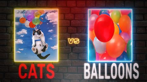 Funny Cat Vs Balloon Compilation Youtube