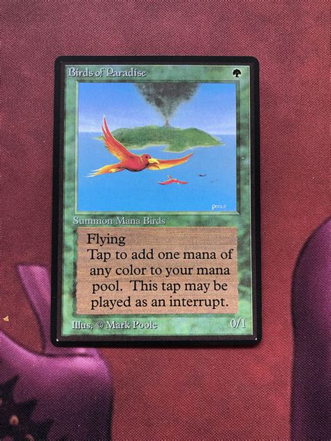 Birds Of Paradise Rav Ravnica City Of Guilds Mtg Proxy Magic The Gathering Proxies Cards Gp Fnm