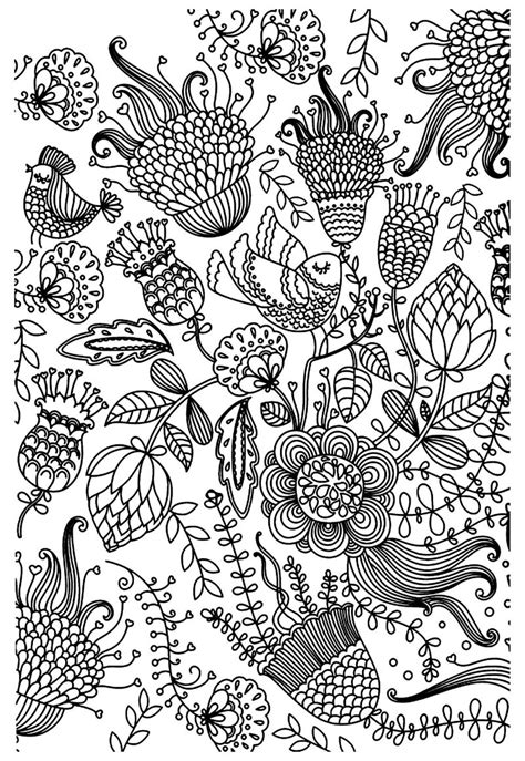 Art Therapy Disegni Da Stampare E Colorare Bird Coloring Pages The