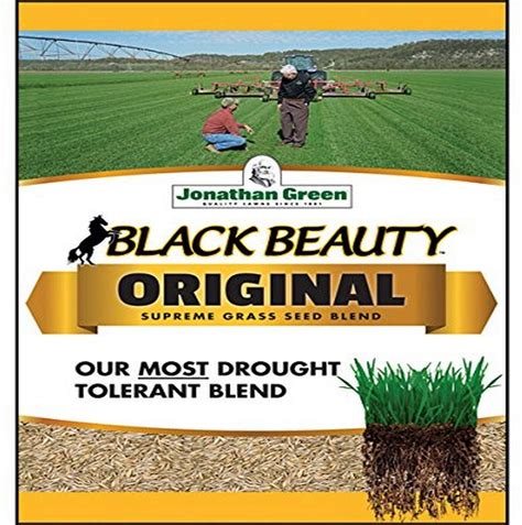 Jonathan Green 10317 Black Beauty Grass Seed Mix 15 Pounds