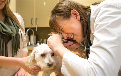 Haarstad Veterinary Dermatology