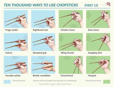 12 Ways To Use Chopsticks Daily Infographic