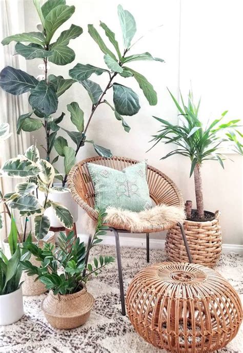 Rattan Reading Corner Furniture With Indoor Plants