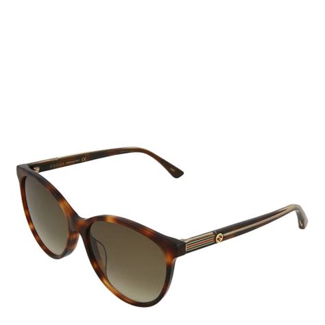 women s havana brown gucci core sunglasses 57mm brandalley