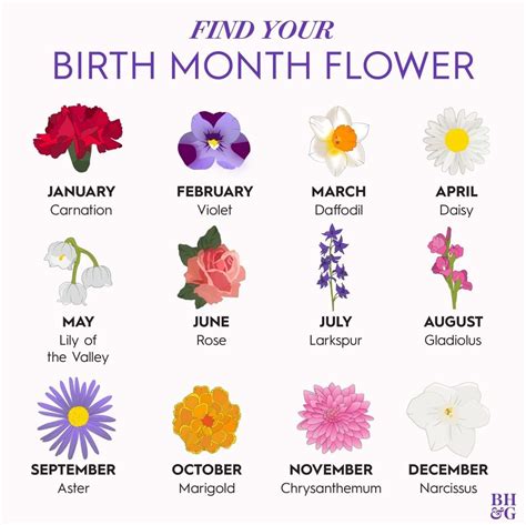 June Birth Month Flower Tattoos Best Tattoo Ideas