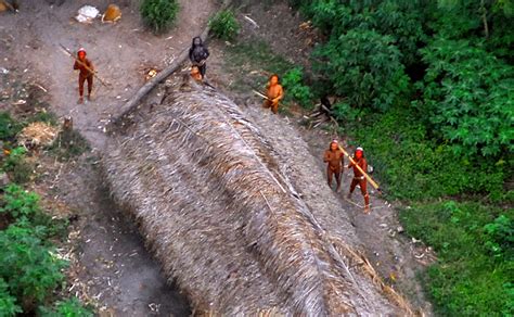 ‘uncontacted Amazon Tribe Members Reported Killed In Brazil The New
