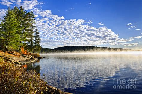 Autumn Lake Shore With Fog Photograph By Elena Elisseeva Fine Art America