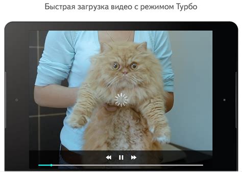 Paste url from clipboard into white box above & submit. Скачать Яндекс браузер для Андроид 2020 бесплатно