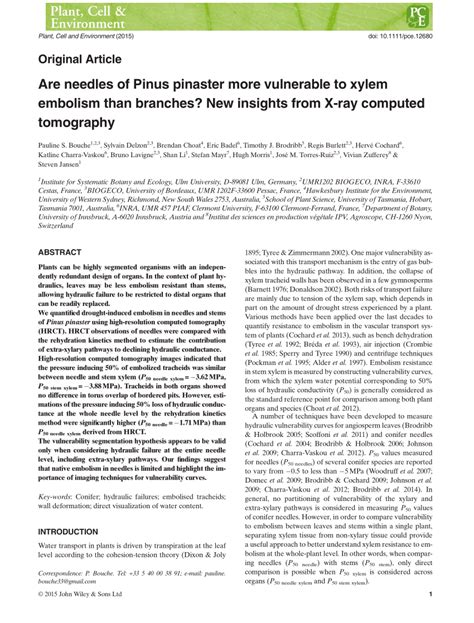 (PDF) Are needles of Pinus pinaster more vulnerable to xylem embolism ...