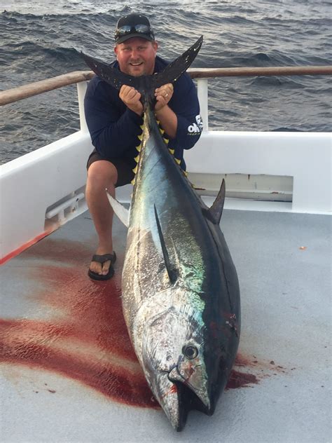 Long Range Fishing Close To Home Giant Bluefin Tuna Daveys World