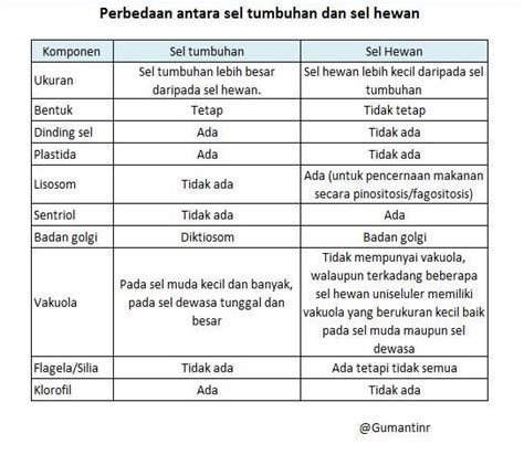 Tabel Perbedaan Sel Hewan Dan Sel Tumbuhan Brainly Indonesia Matematika