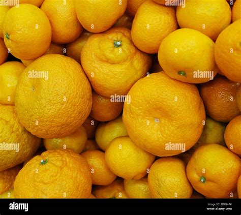 Bunch Of Fresh Mandarin Oranges On Market Stock Photo Alamy