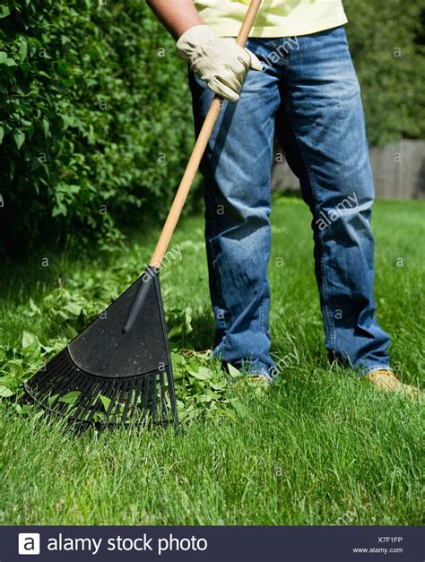 Raking Lawn Stock Photos And Raking Lawn Stock Images Alamy