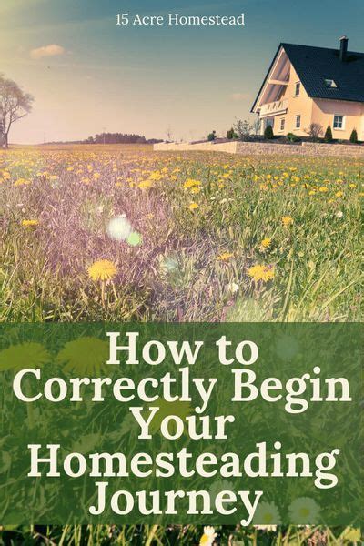 How To Correctly Begin Your Homesteading Journey For An Absolutely