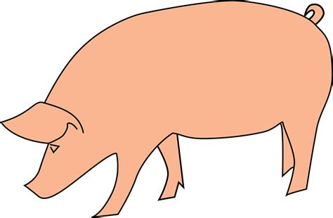 Download Bavi Livestock Oink Pig Royalty Free Vector Graphic Pixabay