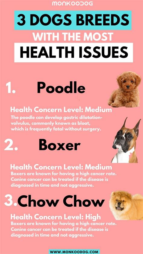 What Dog Breed Has The Least Amount Of Health Problems