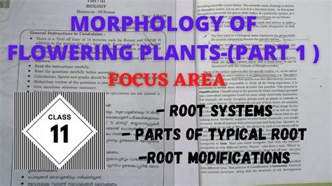 Morphology Of Angiosperms With Previous Year Questions മലയാളം1