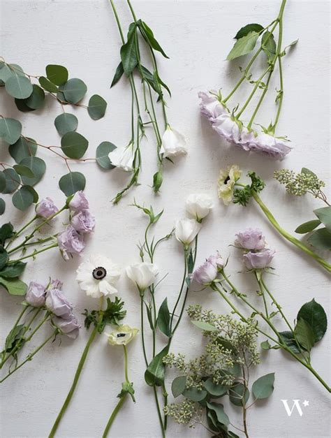 The Seasonal Flower Guide Series Winter Florals The Details