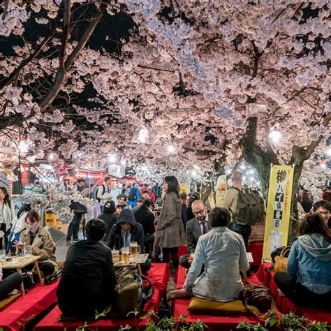 Best Neighborhoods In Tokyo Lonely Planet