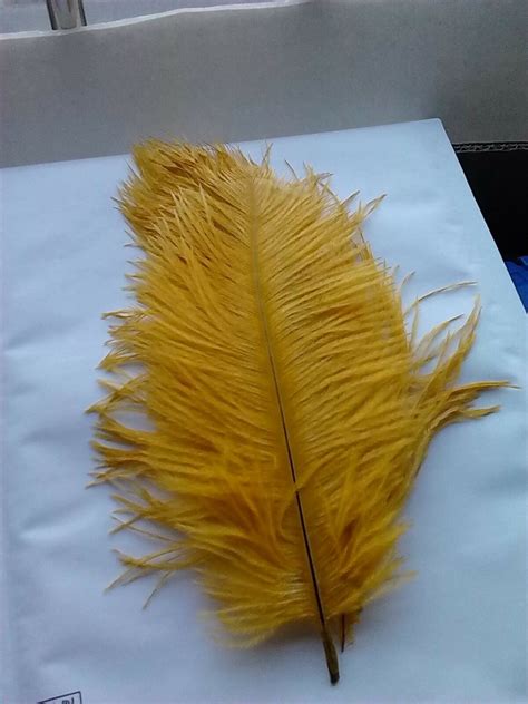 Multi Color Ostrich Feathers For Wedding Decorations Ebay