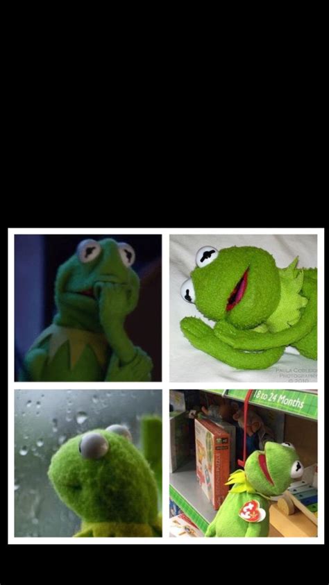 Meme Generator Kermit The Frog Madihah Buxton
