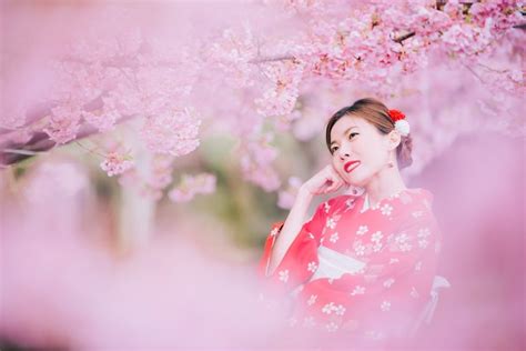 Premium Photo Asian Woman Wearing Kimono With Cherry Blossoms Sakura In Japan