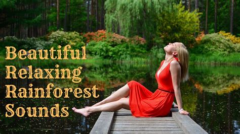 Beautiful Relaxing Rainforest Sounds Relax With Bird Singing And Wind