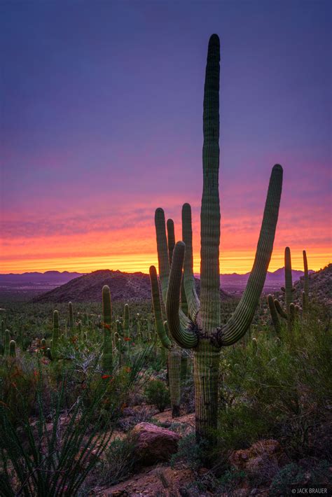 Saguaro National Park Mountain Photography By Jack Brauer