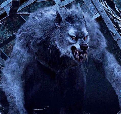 Werewolf Legends Around The World The Legend Of Lycanthropy Horror