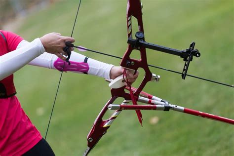 9 Best Compound Bow Brands On The Market Outdoor Troop