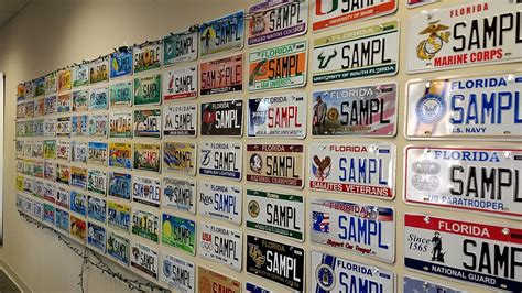 12 New Special License Plates Available In Florida Leopard Center