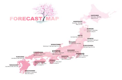 Cherry Blossoms Festival Japan Forecasts 2019 Where And When To Visit